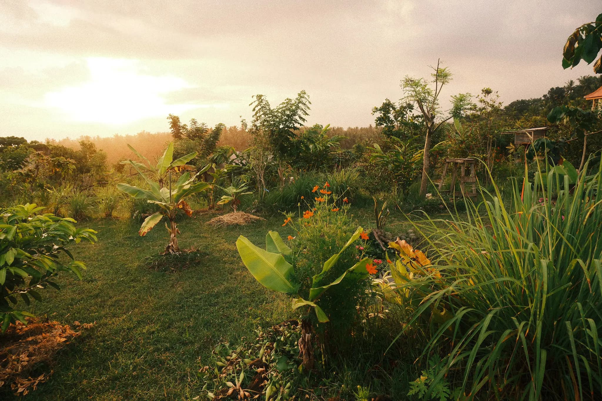 Nature At Home