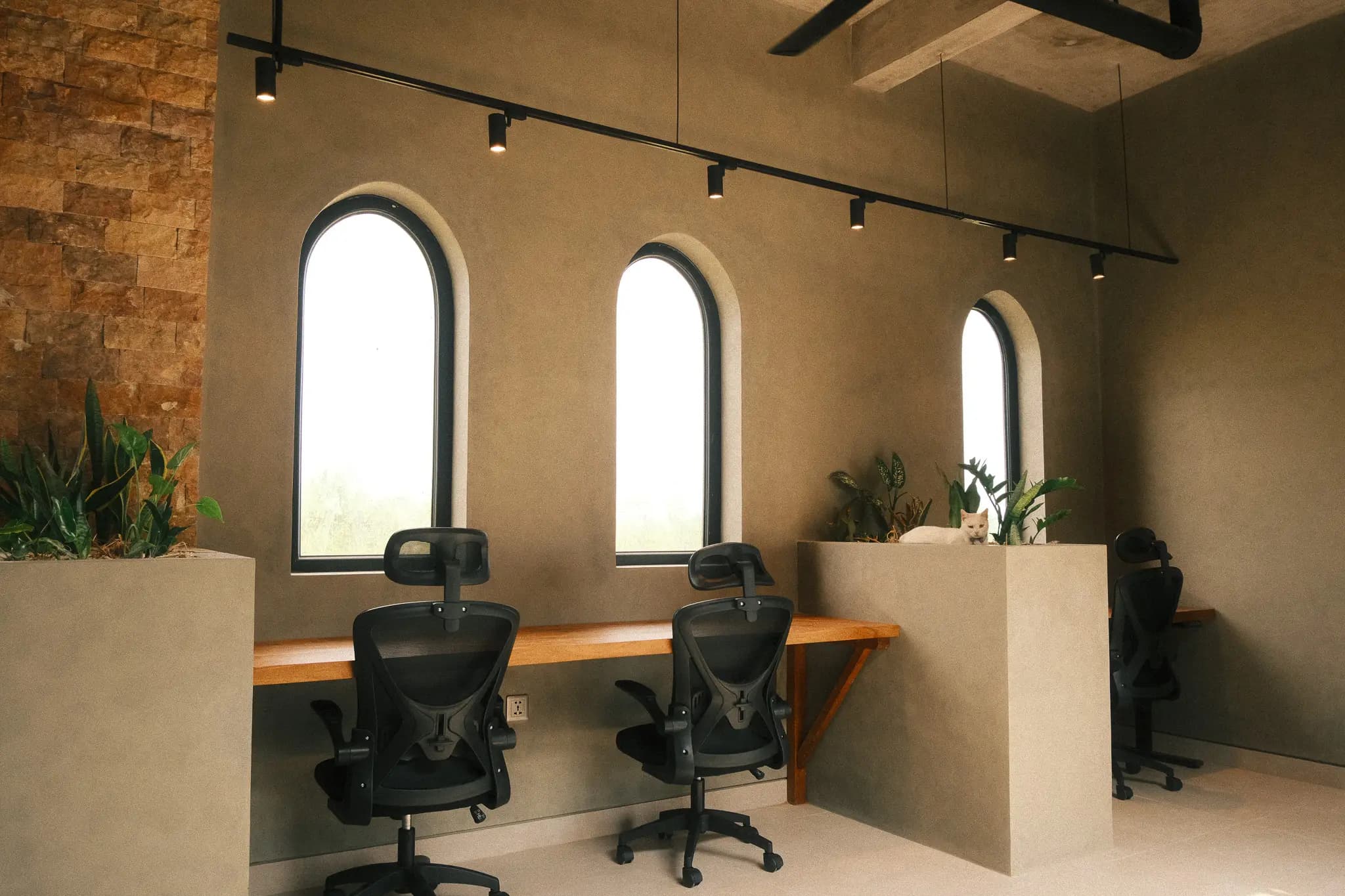 cowork 3