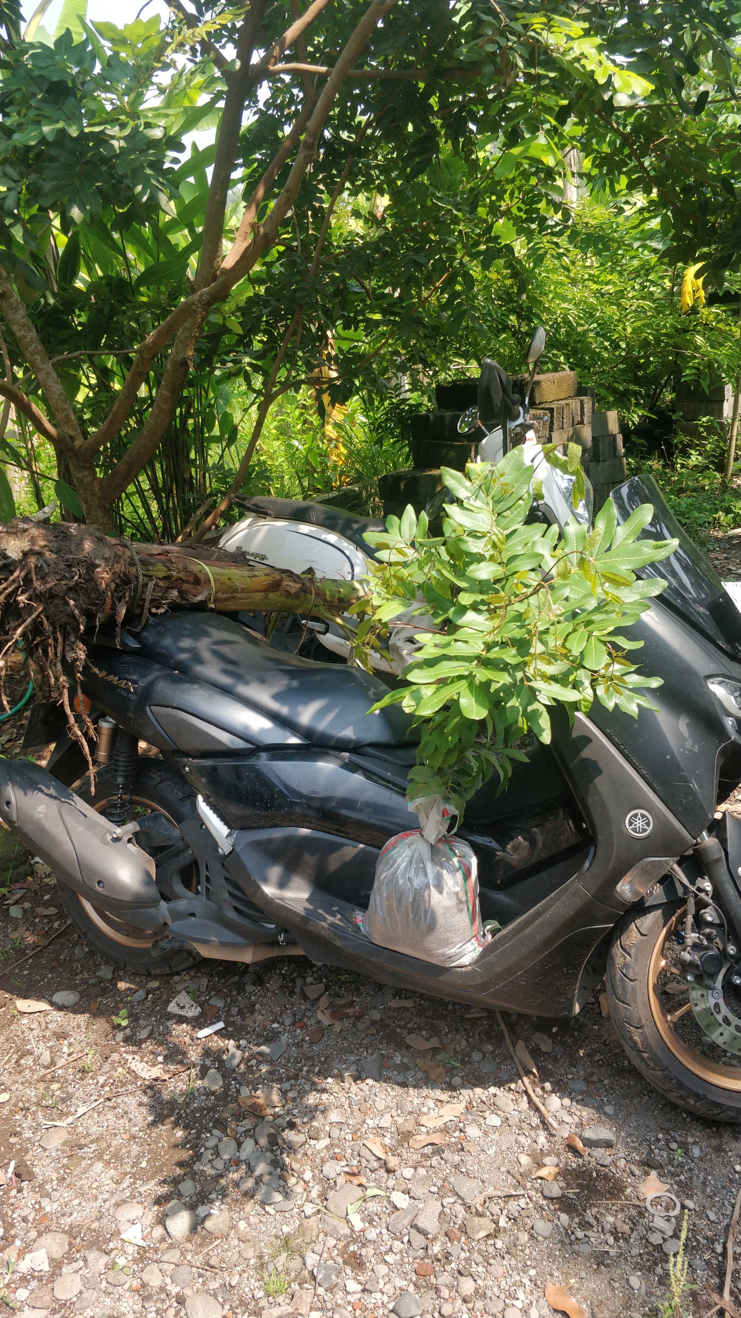 South East Asia transport style
