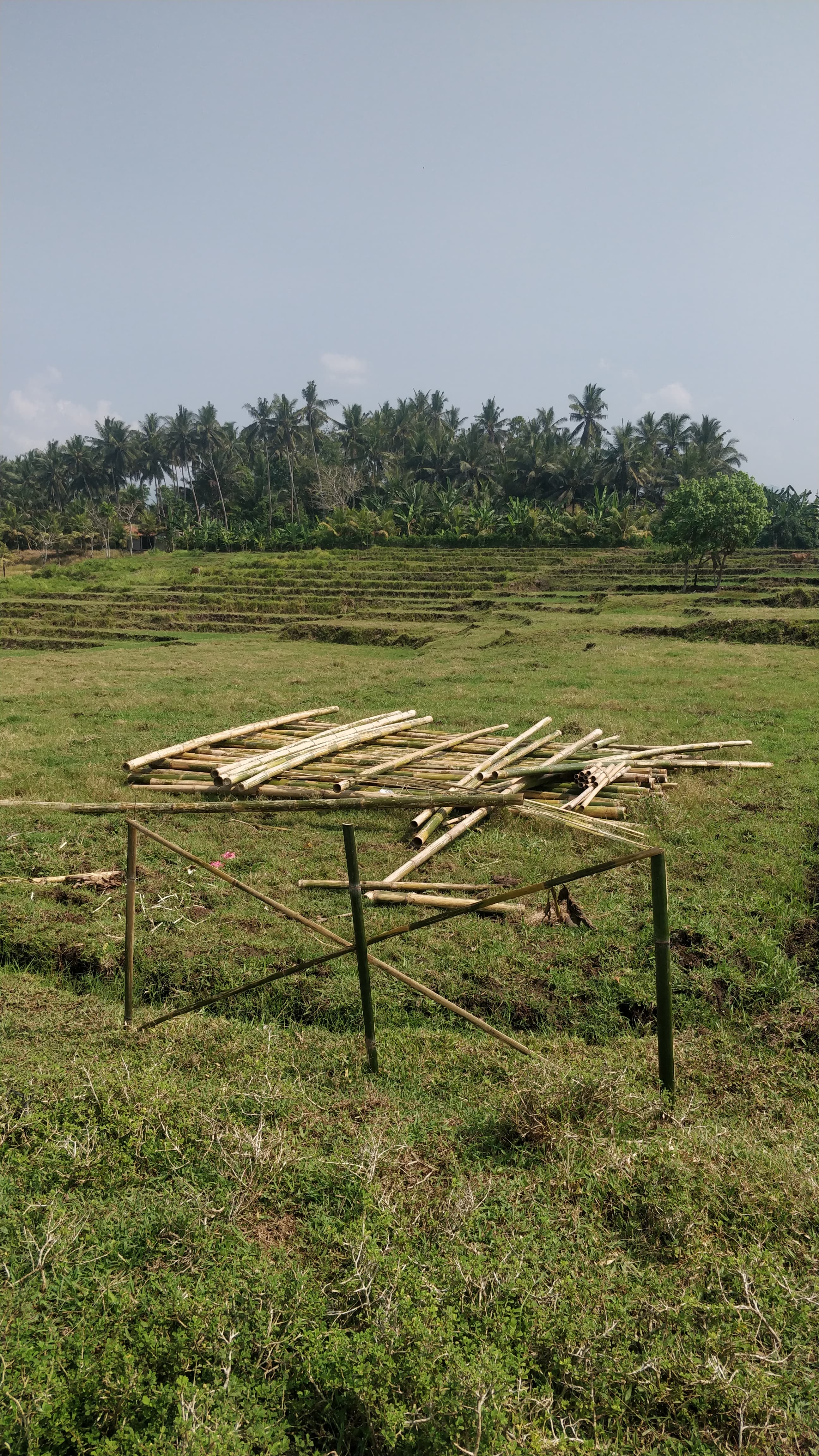 Yep, looks like shit